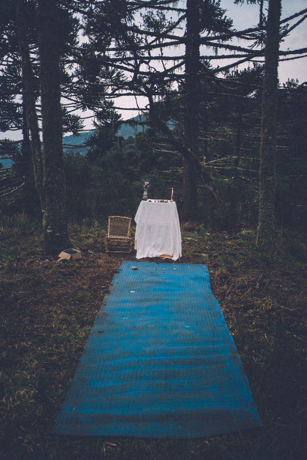 Foto Casamento intimista em Urubici Foto Casamento intimista em Urubici - Imagem 29