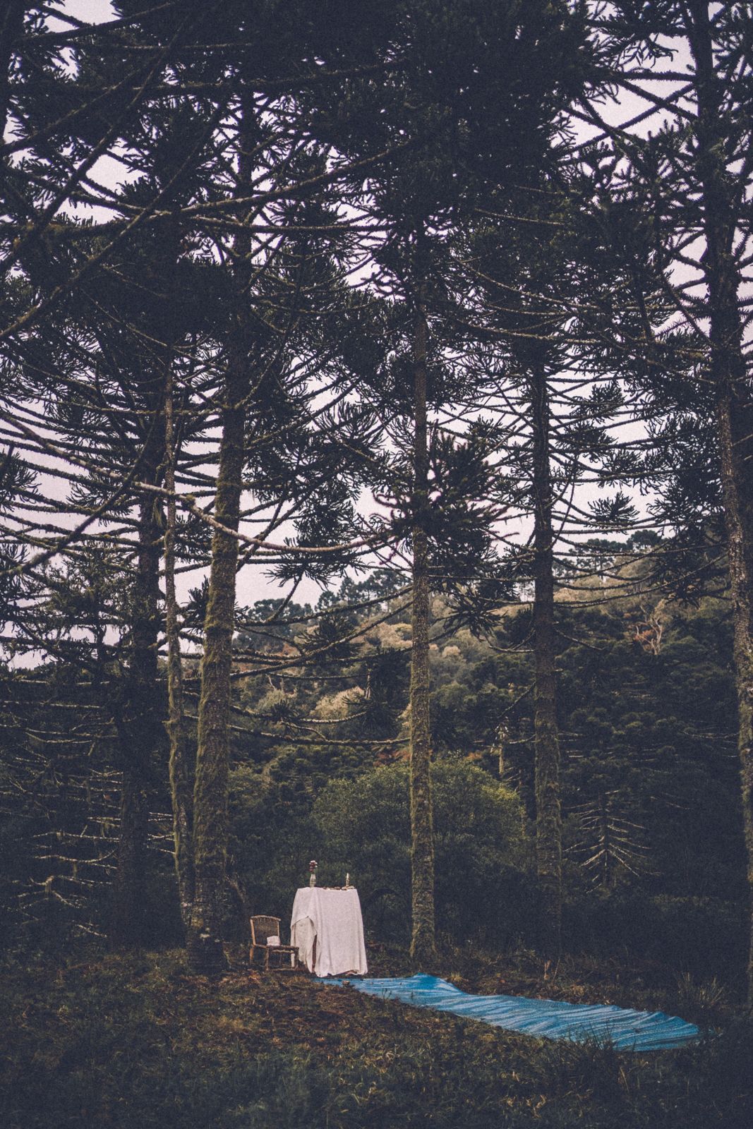 Foto Casamento intimista em Urubici Foto Casamento intimista em Urubici - Imagem 105